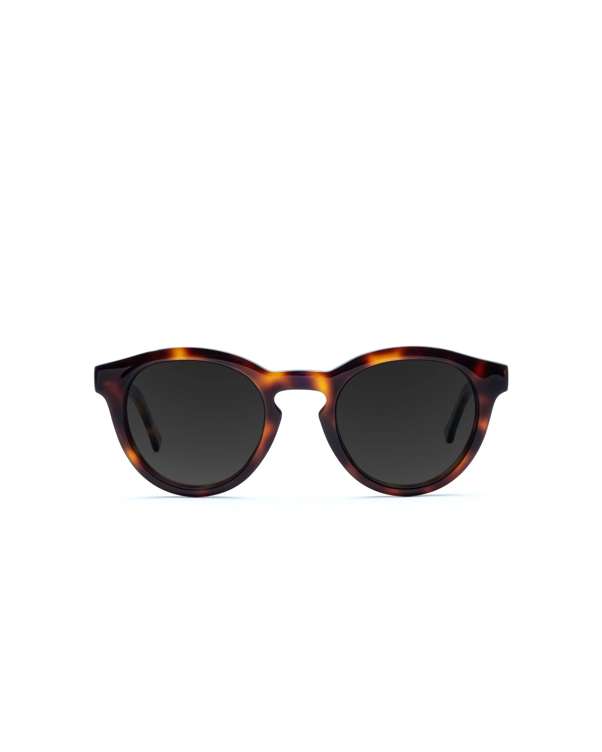 Alexander Sunglasses Single Vision - Image 2