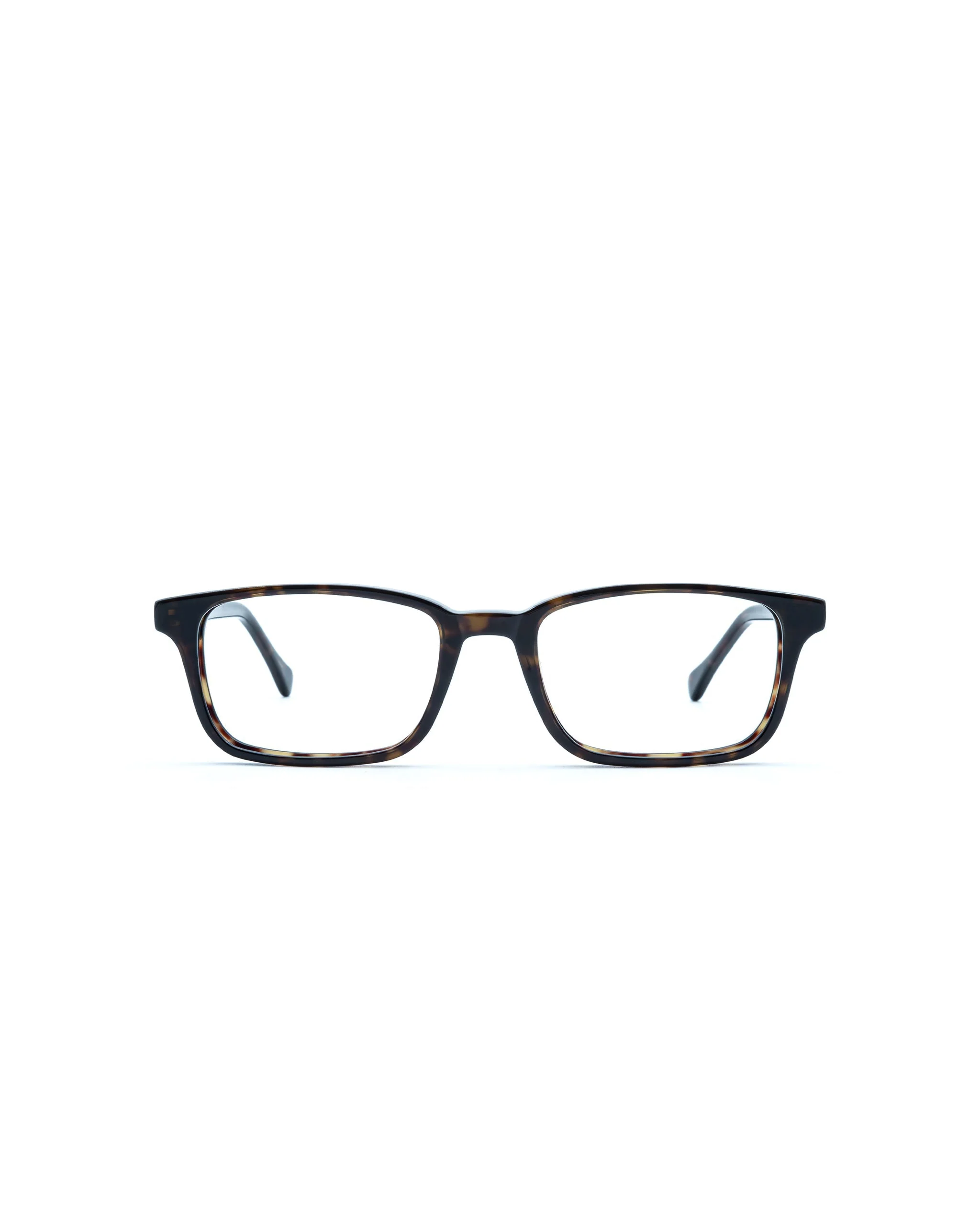 Carver Reader - Image 5