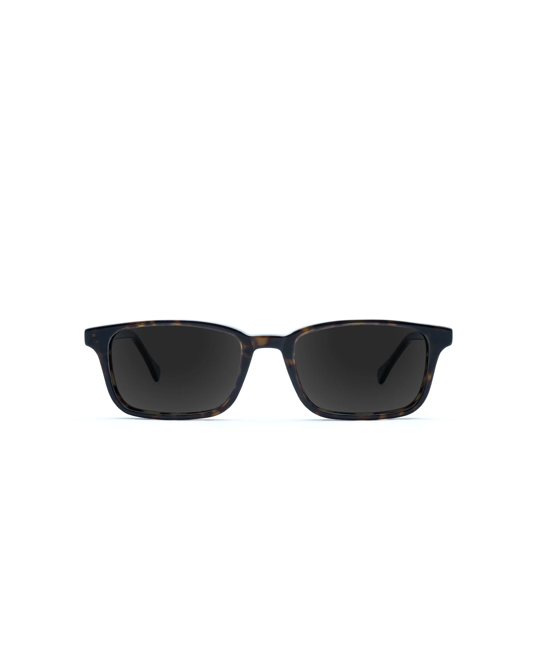 Carver Sunglasses Progressive - Image 3