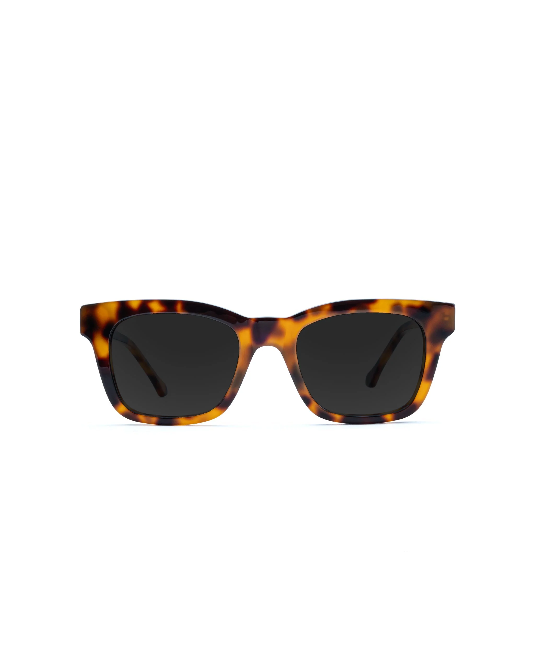 Ellis Sunglasses Progressive - Image 2