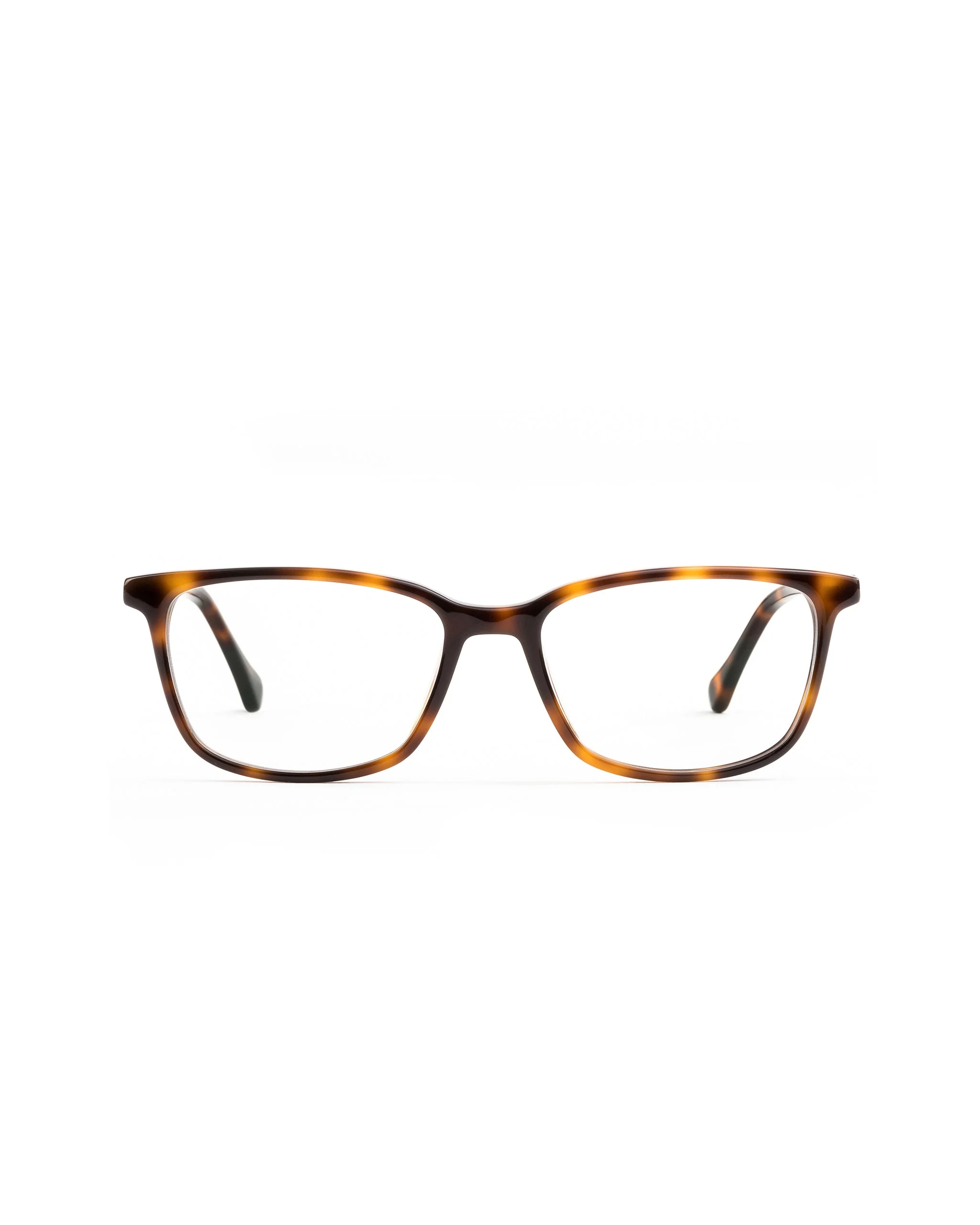 Faraday Plano - Image 5