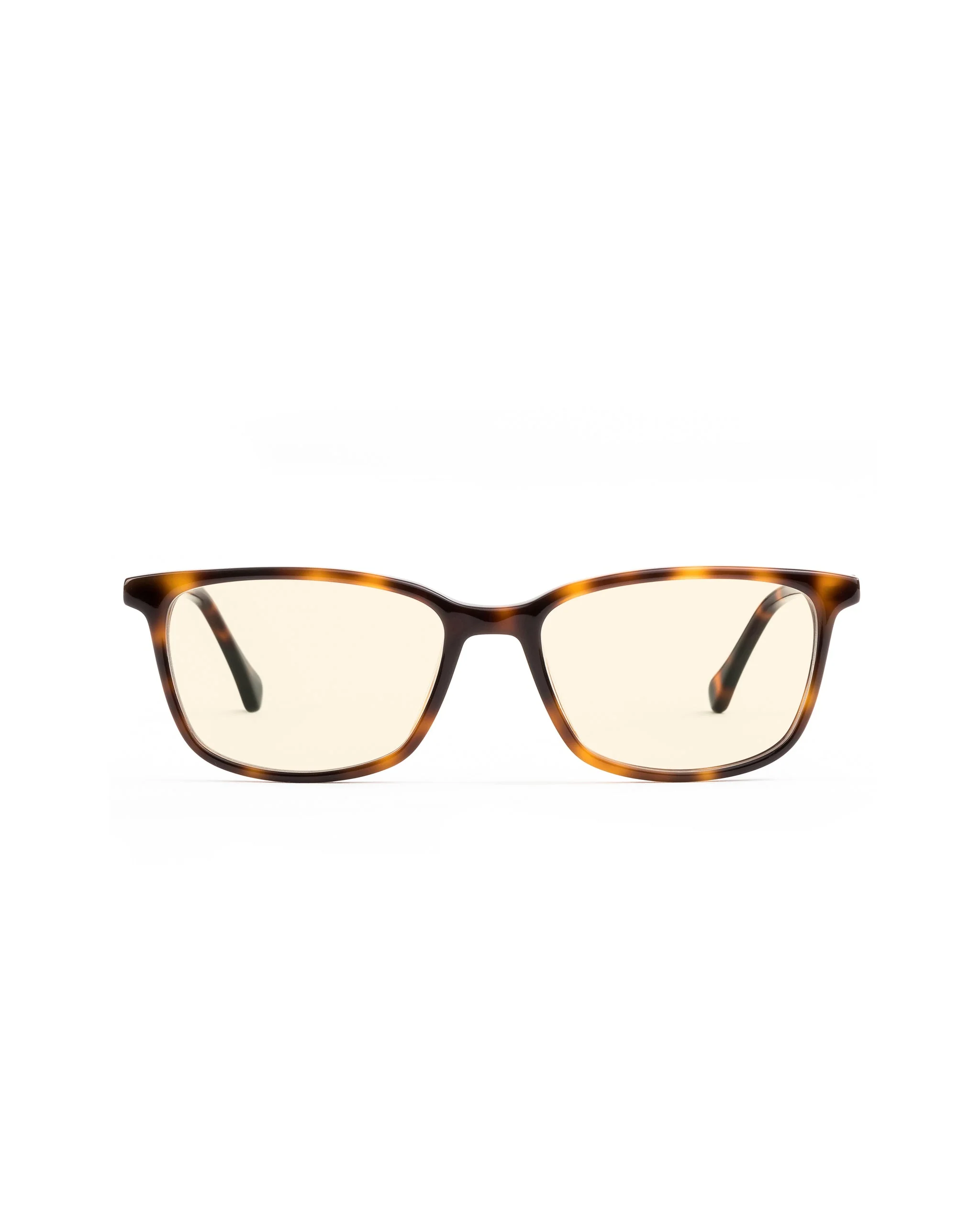 Faraday Plano - Image 7