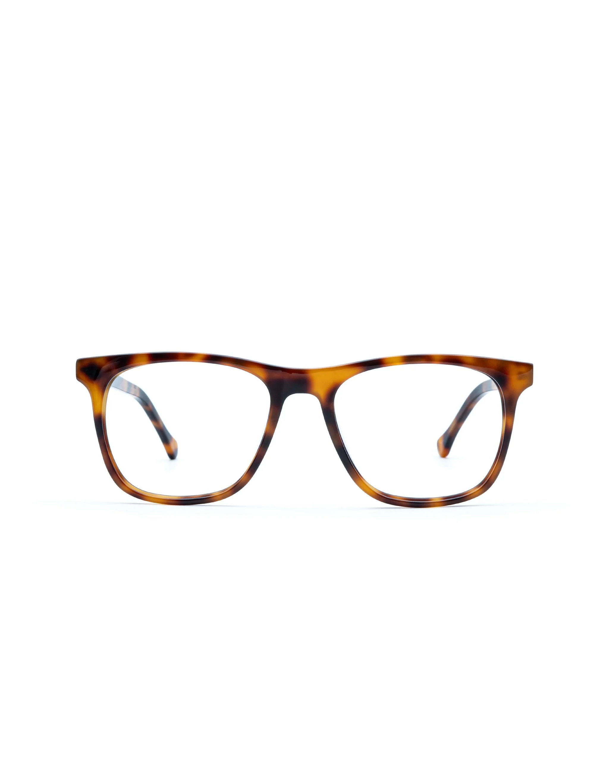 All Adult Glasses