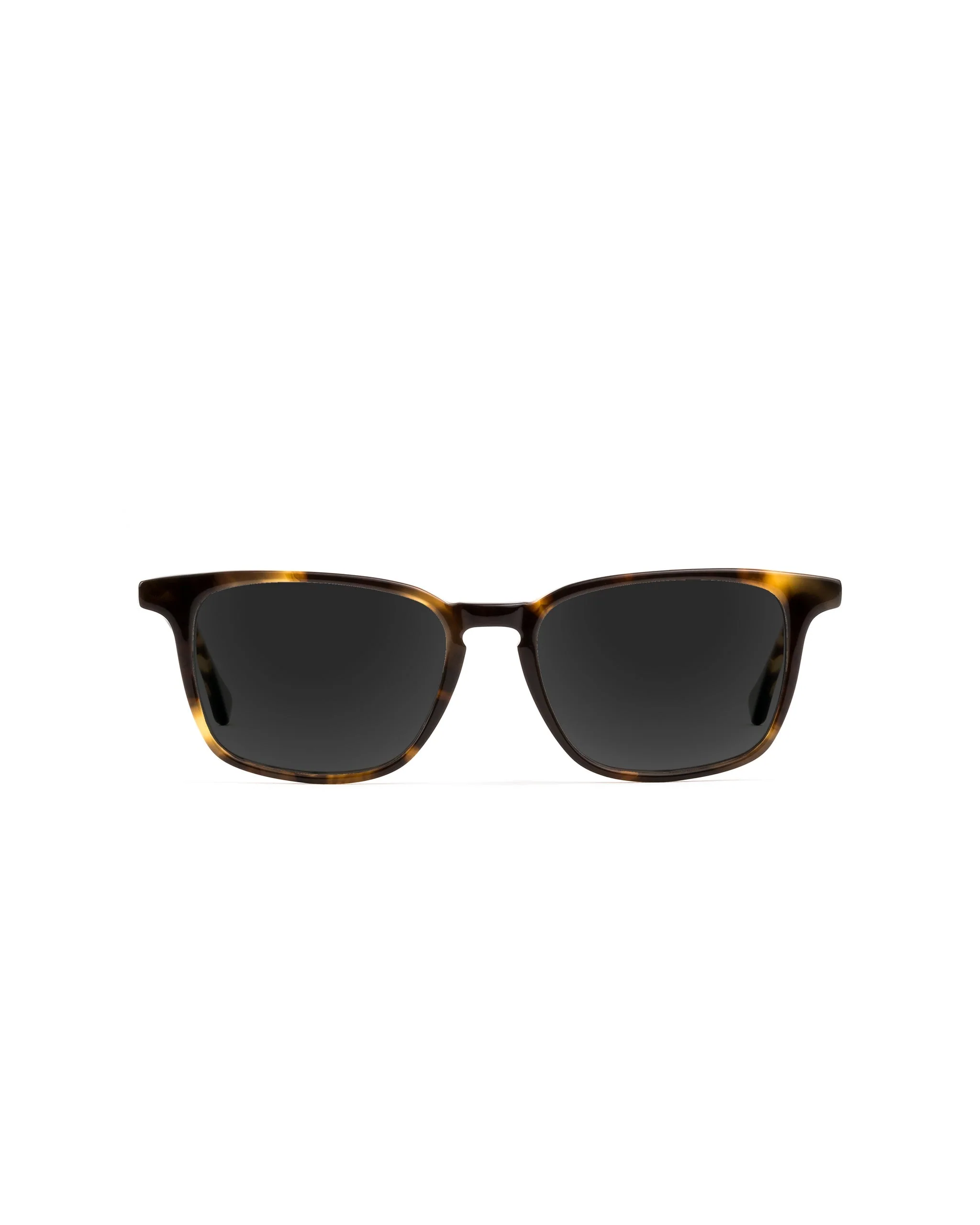 Nash Sunglasses Progressive - Image 4