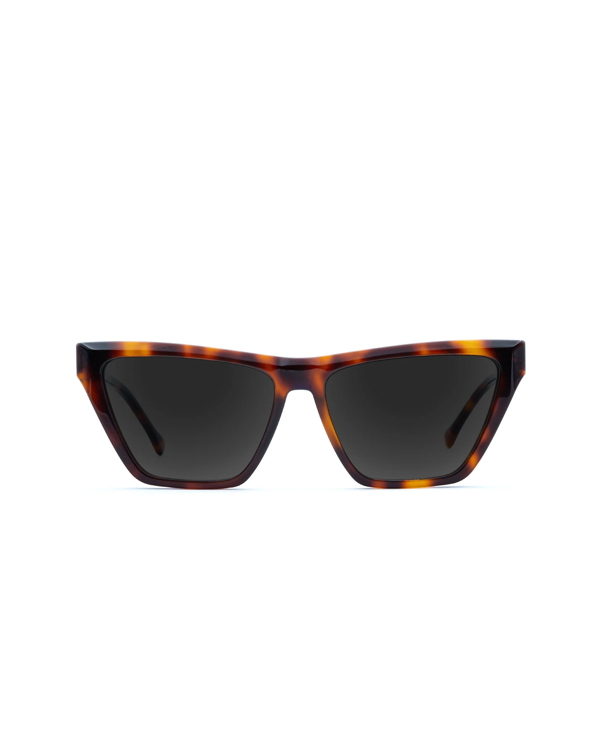 Raven Sunglasses Progressive - Image 3