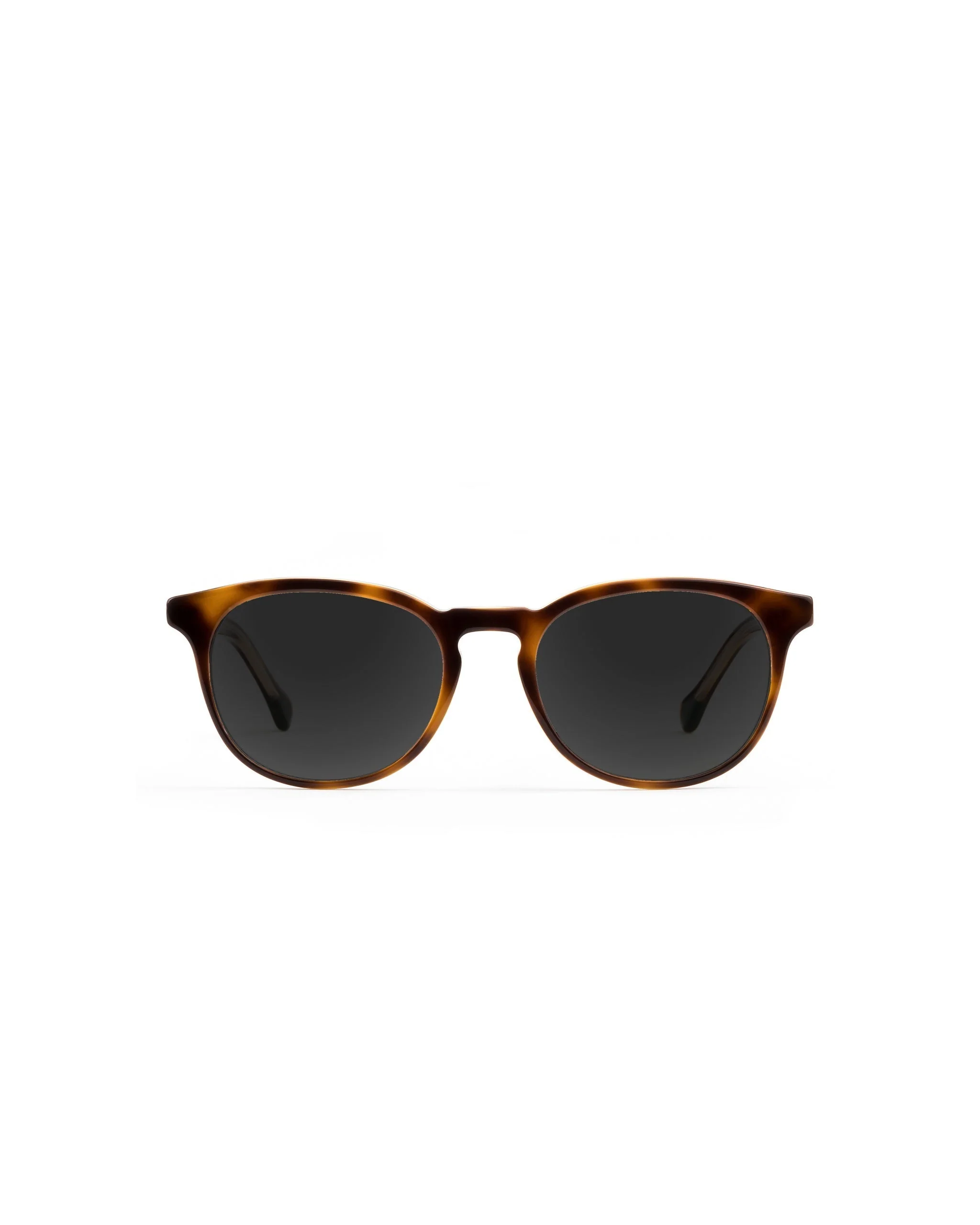 Roebling Sunglasses Single Vision - Image 3